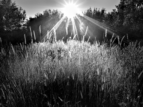 Reaching for the Sky