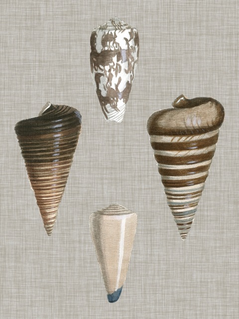 Shells on Linen III
