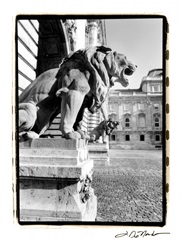 Standing Guard, Royal Palace