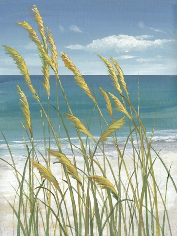 Summer Breeze I