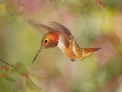 The Flower Dance III