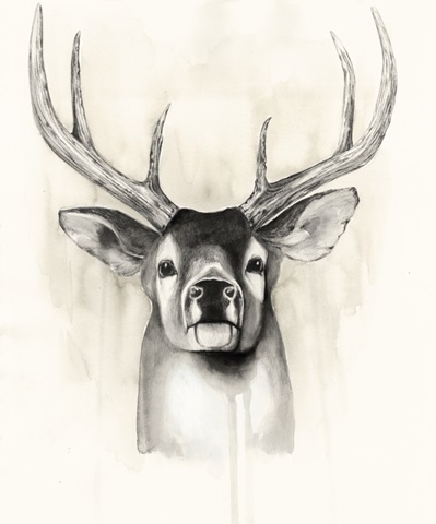 Timberland Animals II