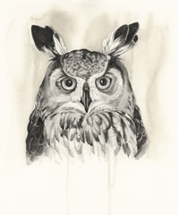 Timberland Animals III