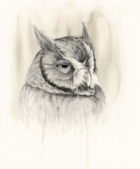 Timberland Animals IV