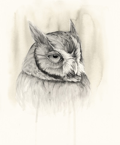 Timberland Animals IV