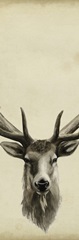 Triptych Elk II