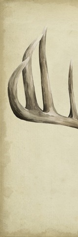 Triptych Whitetail I