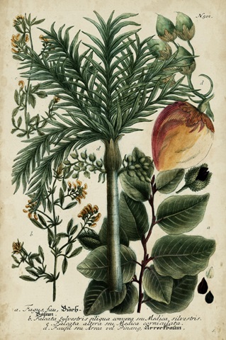 Vintage Tropicals III