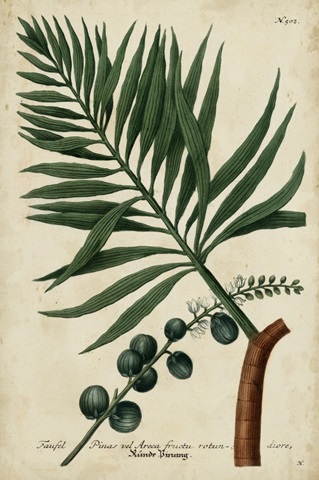 Vintage Tropicals IV