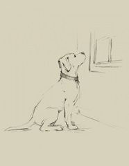 Waiting for Master III