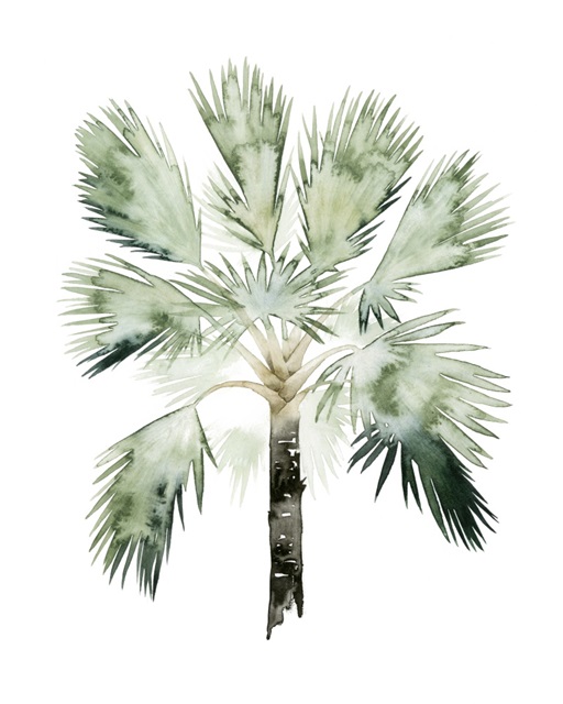 Watercolor Palm of the Tropics I