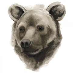 Western Animal Study I