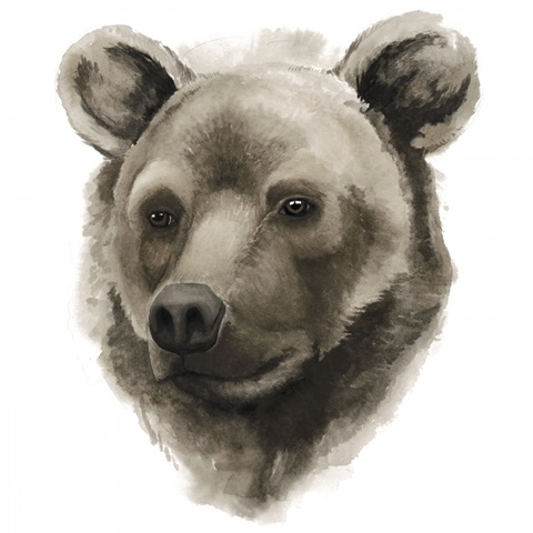 Western Animal Study I