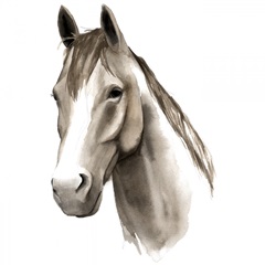Western Animal Study II