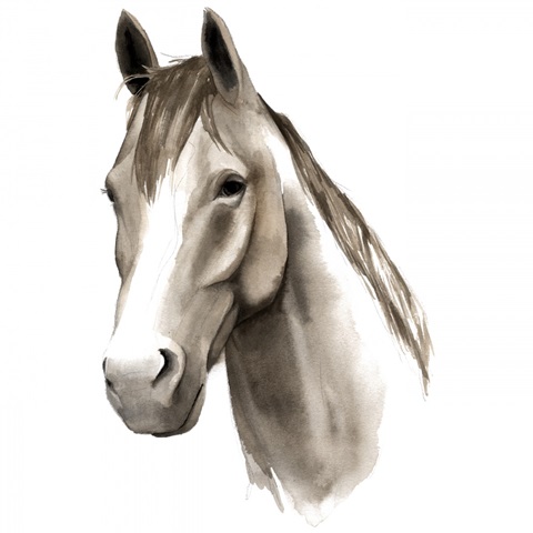 Western Animal Study II