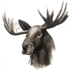 Western Animal Study III