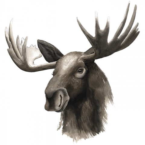 Western Animal Study III