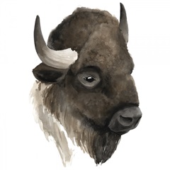 Western Animal Study IV