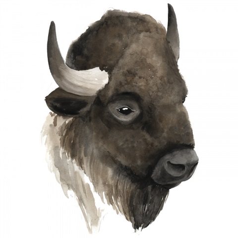 Western Animal Study IV