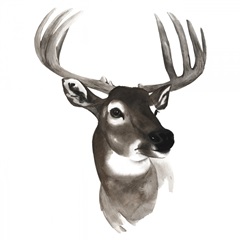 Western Animal Study VI