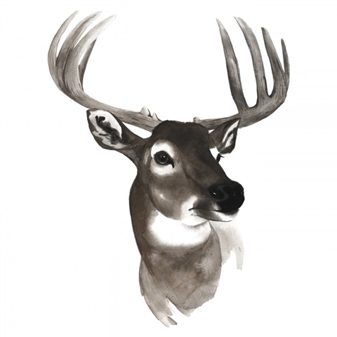 Western Animal Study VI