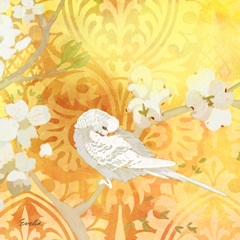 Budgie and Cartouche II