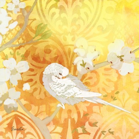 Budgie and Cartouche II