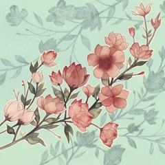 Cherry Blossom Shadows I