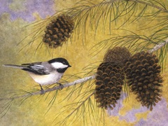 Chickadee in the Pines I
