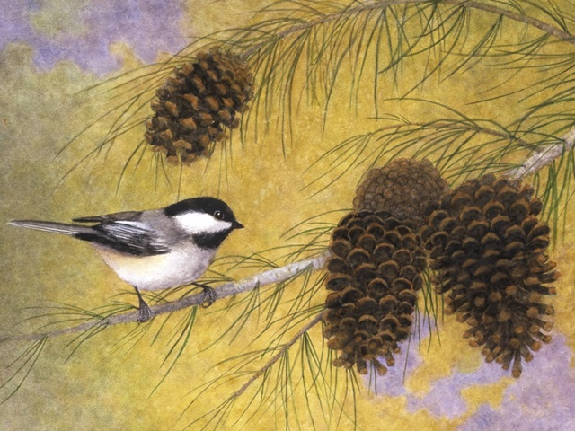 Chickadee in the Pines I