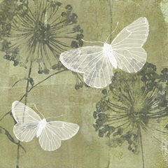 Dandelion and Wings II