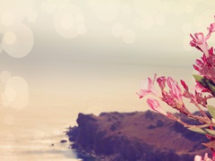 Flowers in Paradise III