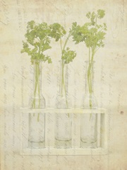Herb Still Life I