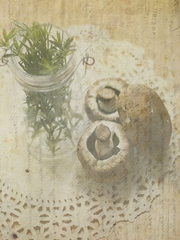 Herb Still Life IV