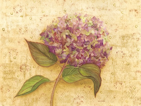 Hydrangea Love I