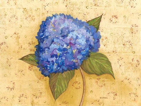 Hydrangea Love II