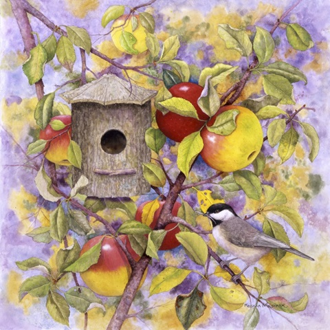 Chickadee and Apples