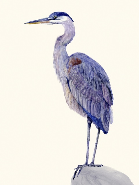 Heron Study I