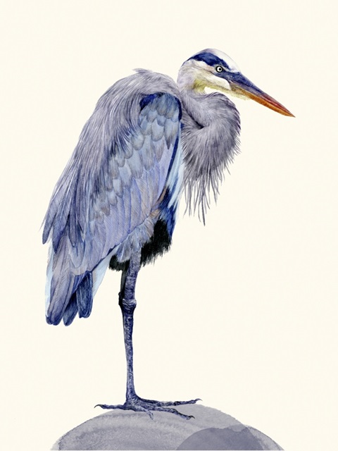 Heron Study II