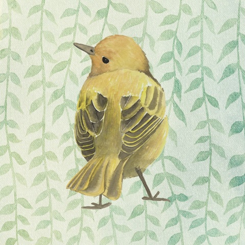 Little Bird IV
