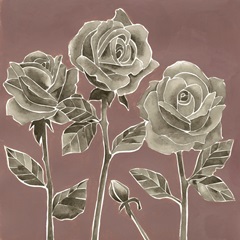 Marsala Roses II