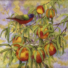 Painted Bunting and Peaches
