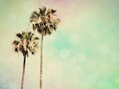 Palm Trees I