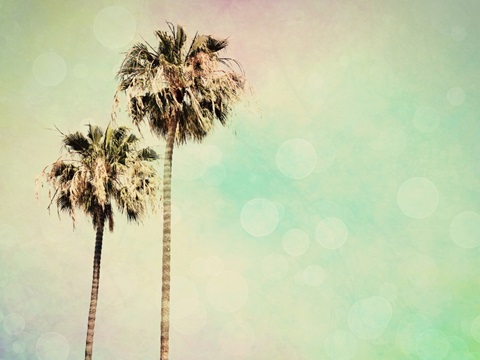 Palm Trees I