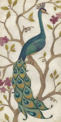 Peacock Fresco I