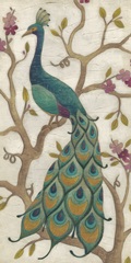 Peacock Fresco II