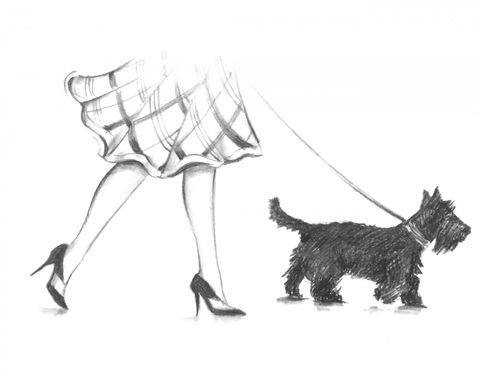 Perfect Companion II