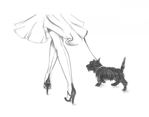 Perfect Companion IV