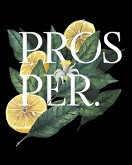 Prosper and Thrive I