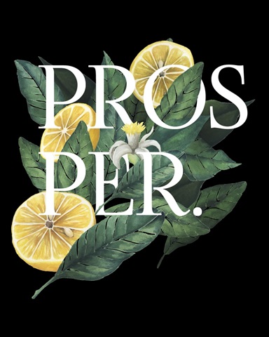 Prosper and Thrive I